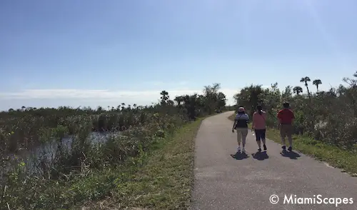 Marsh Trail