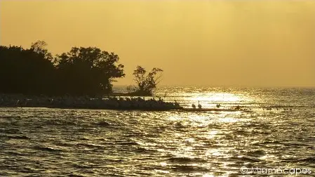 Ten Thousand Islands at Sunset