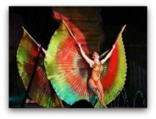 Cirque Italia in South Florida