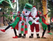 Winterland at Pinto Farm