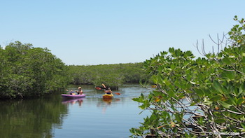 Kayaking John Pennekamp