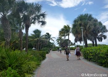 Miami Beach Walk