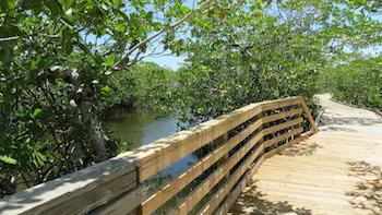 Pennekamp Park boardwalks