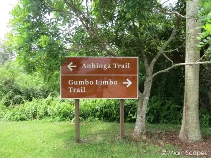 Anhinga and Gumbo Limbo Trails