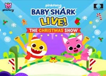 BAby Shark Live Baby Shark Live