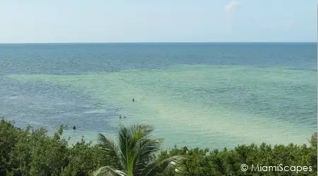 Bahia Honda State Park, incredible views from the Old Bridge