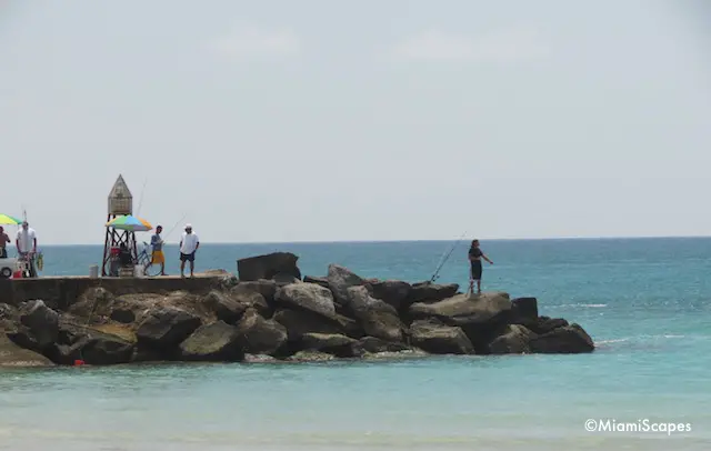 Beautiful Bal Harbour Beach jetty 