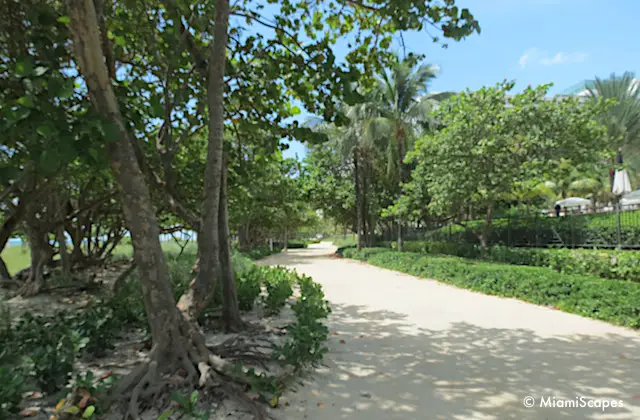 Bal Harbour Beach Walking Paths 