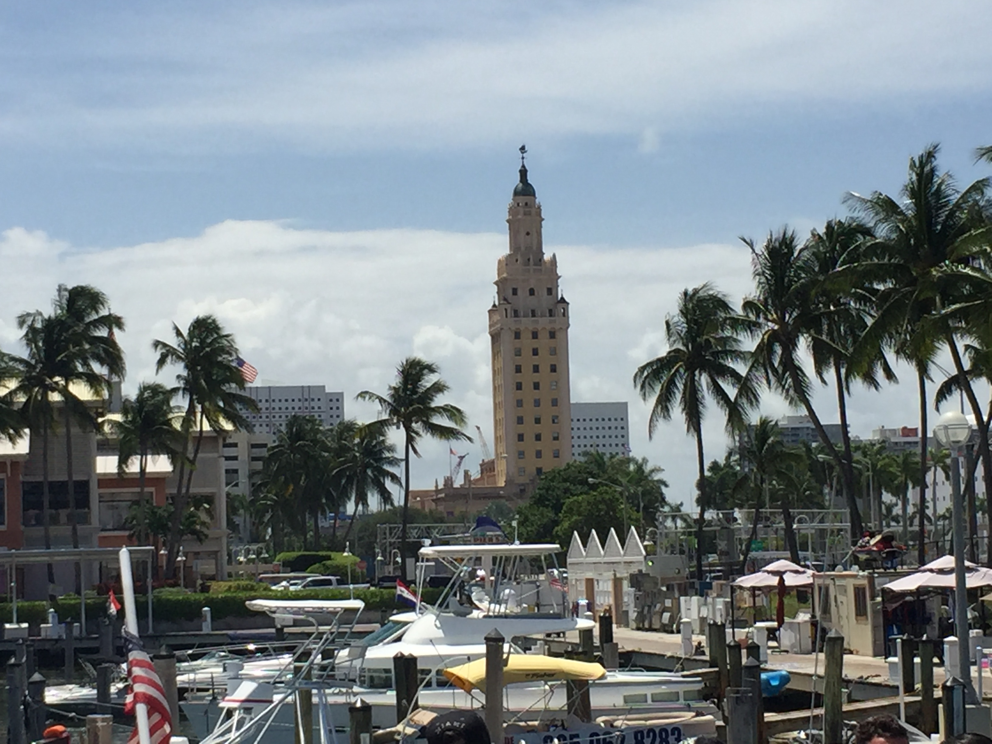 Bayside Marina Freedom Tower Views