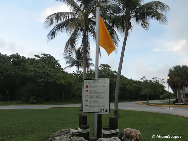 Beach Warning Flag at Bill Baggs