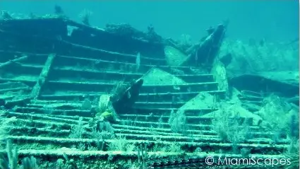 The Benwood Wreck is one of Key Largos top scuba diving spots