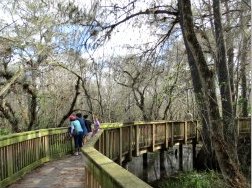 Kirby Storter Boardwalk at Big Cypress National Park