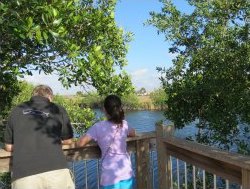 Viewing Platform at Big Cypress National Park Viewing Platform at Big Cypress National Park