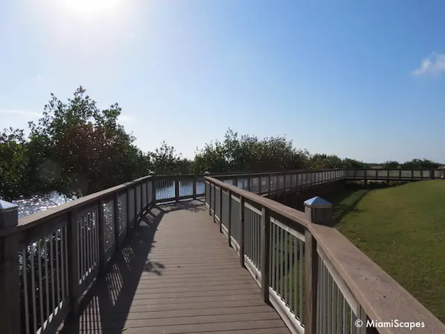 The viewing platform at 
 Big Cypress Welcome Center