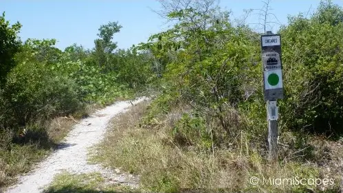 Biking Trails at Oleta