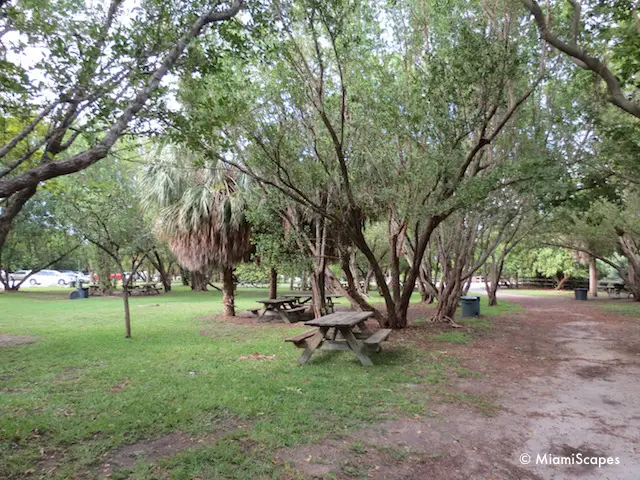 Picnic Tables