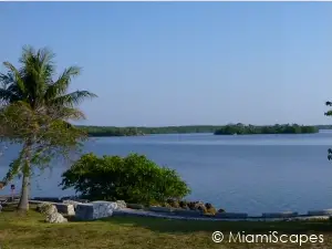 Views of the Bay at Biscayne National Park
