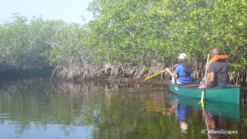 Canoe and Kayak concessions at Biscayne National Park Visitor Center
