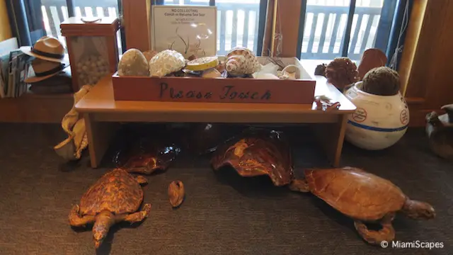 Coral Reef Exhibits at Biscayne National Park Visitor Center