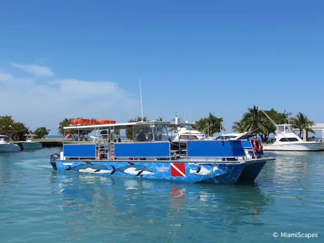 Snorkeling Tour at Biscayne National Park