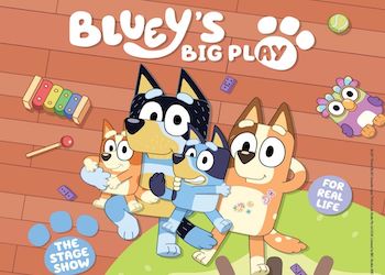 Blueys Big Play