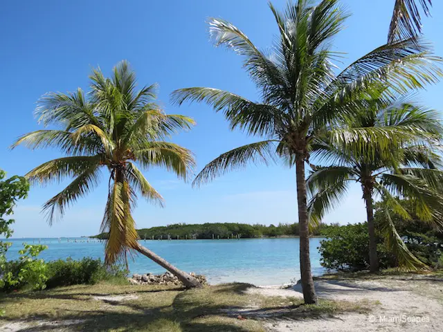 Boats to Boca Chita Key