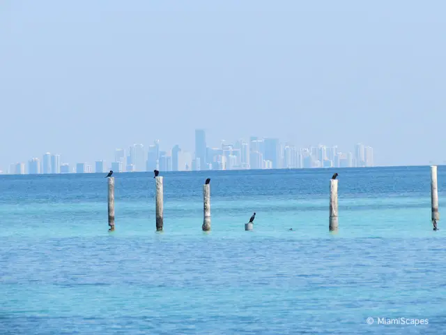 Views of Miami Skyline at Boca Chita Key