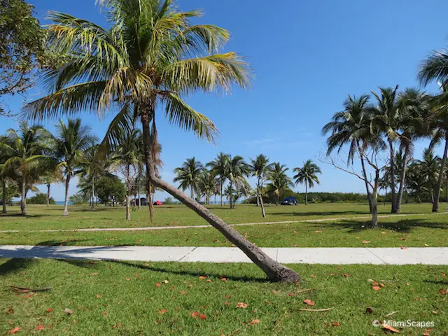 Walkways at Boca Chita Key