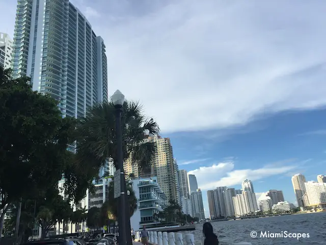 Brickell Skyline