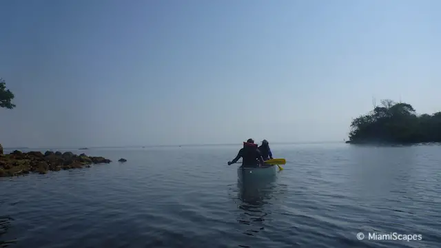 Canoeing in Biscayne National Park - Birds