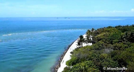 Views from the Lighthouse: Beach