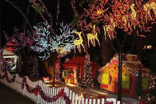 Christmas in Miami: Christmas Tree Lightings Christmas in Miami: Christmas Tree Lightings