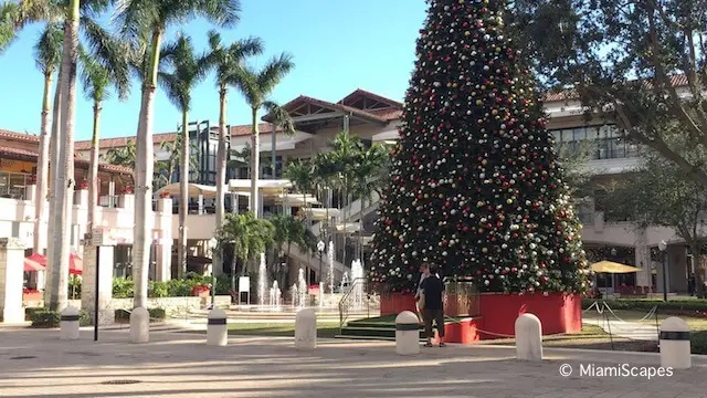 Christmas in Miami