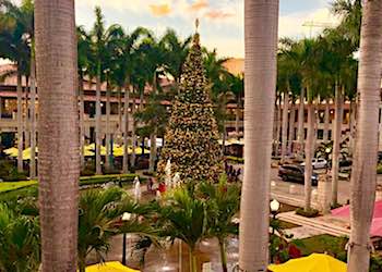 Christmas Tree Lighting at Merrick Park