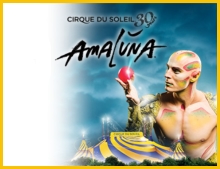 Cirque du Soleil AmaLuna in Miami
