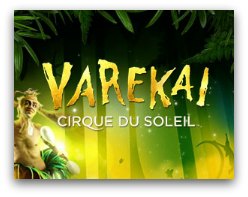 Cirque du Soleil Varekei in Miami