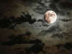 Coconut Grove Ghost Tours Coconut Grove Ghost Tours