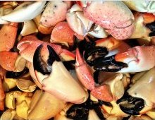 Coconut Grove Seafood Festival - Stone Crabs