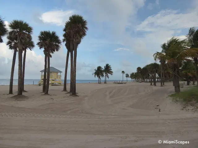 Beach at Crandon Park Key Biscayne