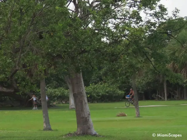 Biking and Rollerblading at Crandon Park