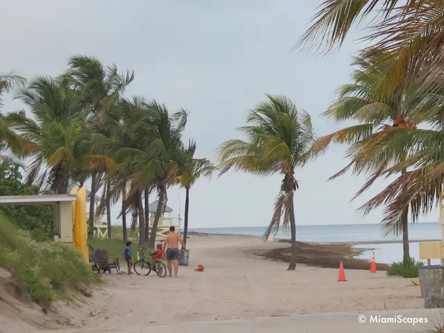 Kayaking at Crandon Park