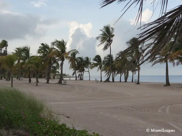 Beach at Crandon Park Key Biscayne