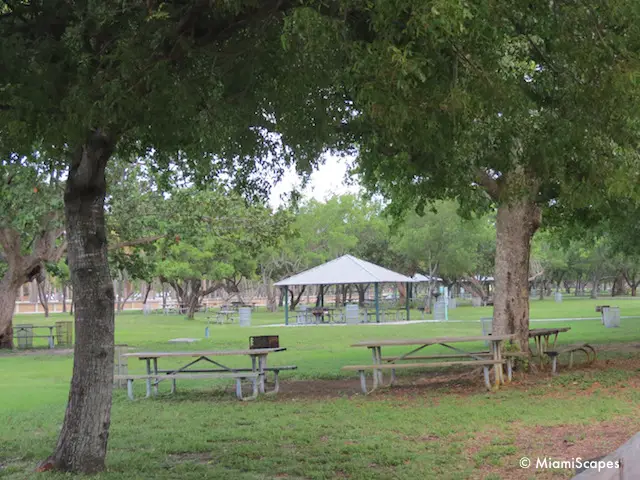 Picnic Tables at Crandon Park