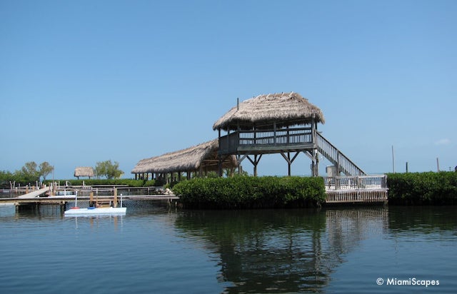 Docks and platforms at the Dolphin Research Center