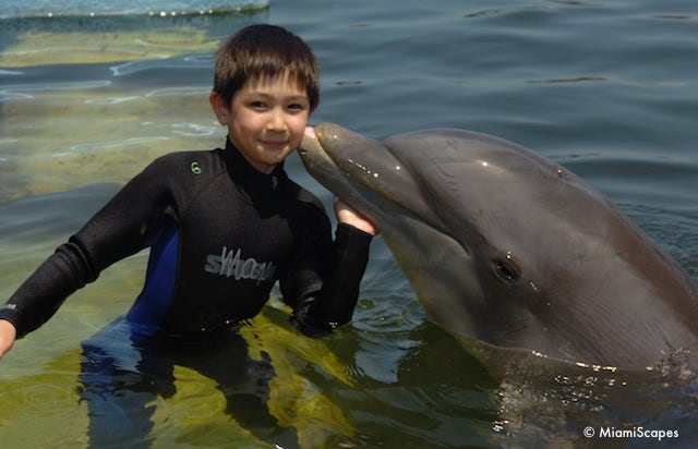 Dolphin Kiss at the Dolphin Research Center