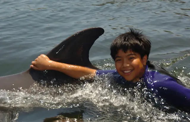 Dorsal Pull at the Dolphin Research Center