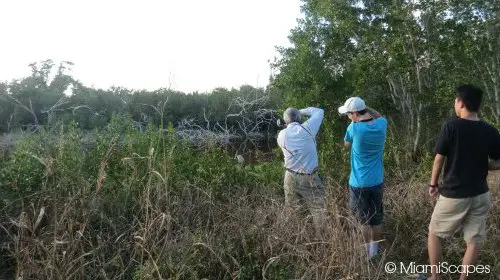 Eco Pond: Trail around the pond