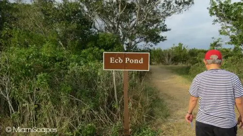 Eco Pond Road Sign