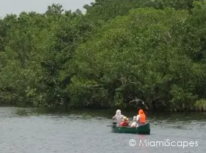 Canoe and Kayak Trails at Flamingo