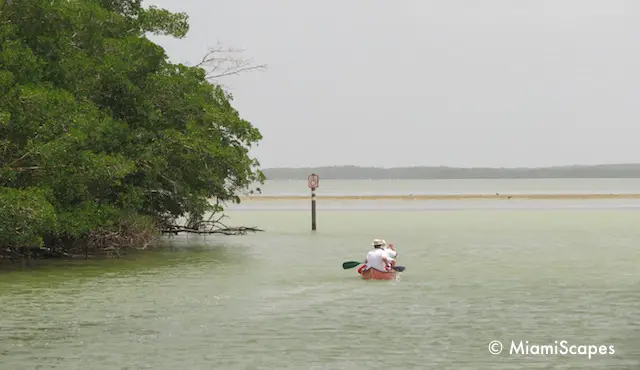 Everglades at Flamingo, canoeing in Florida Bay